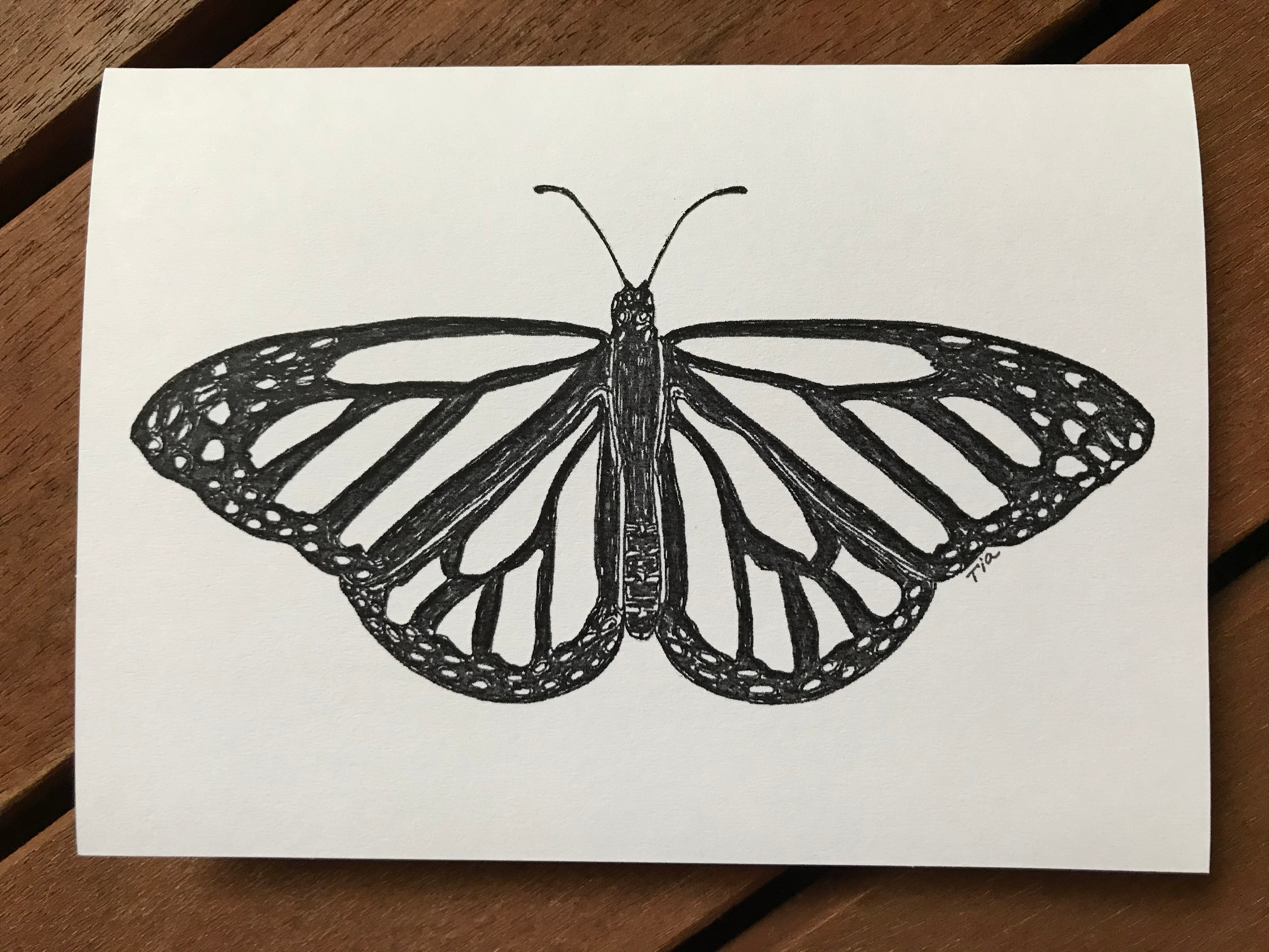 Monarch Butterfly | Jen Adams Art